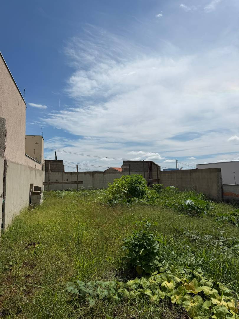 Lote plano no parque real