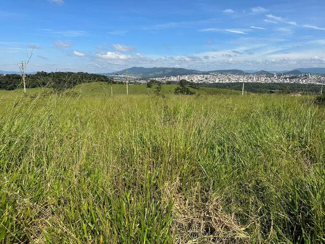 #710 - Área para Venda em Pouso Alegre - MG