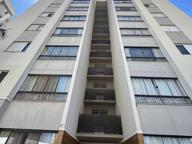 Venda em Santa Edwiges - Ribeirão das Mortes - Pouso Alegre