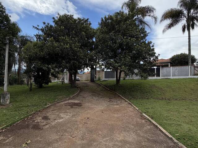 #1783 - Chácara para Venda em Pouso Alegre - MG - 3