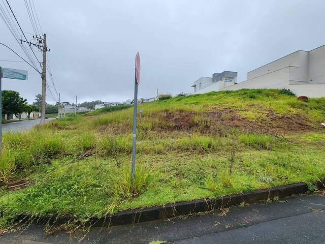 #1805 - Terreno para Venda em Pouso Alegre - MG - 3