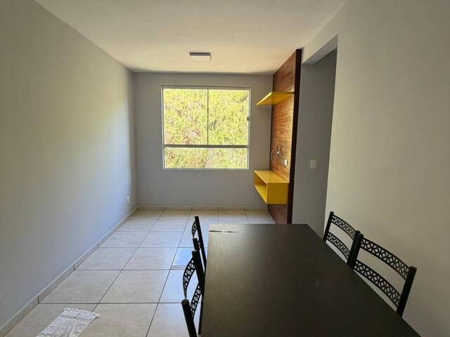 #961 - Apartamento para Locação em Pouso Alegre - MG - 3