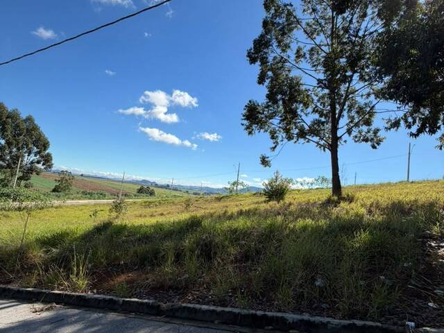Venda em Colina do Rei - Pouso Alegre