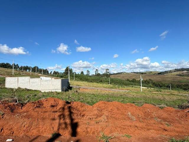 Venda em Colina do Rei - Pouso Alegre