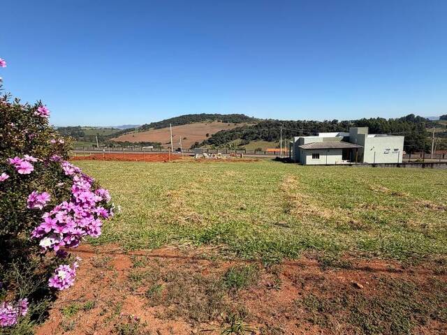 Venda em Grand Royalle - Pouso Alegre